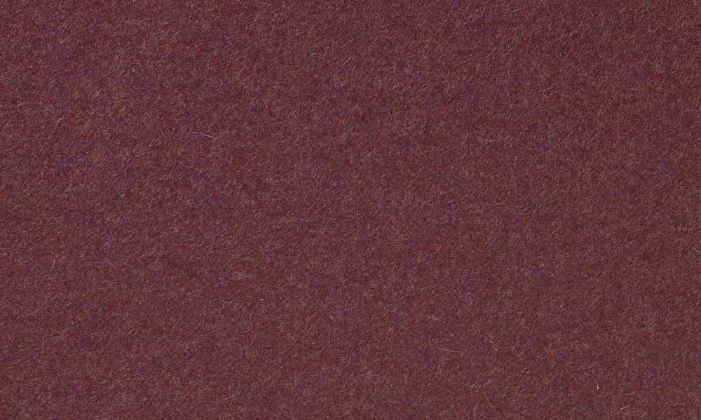 Earth,Plum