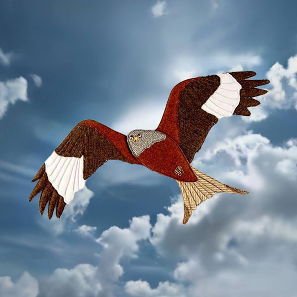 Milvus Milvus (Red KIte)